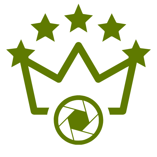Premium Access Icon